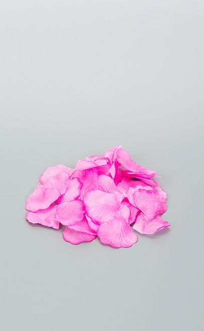 Лепестки роз  (T004) фото