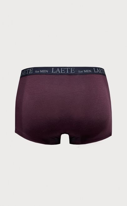 Трусы-боксеры  (ZV001-25) фото