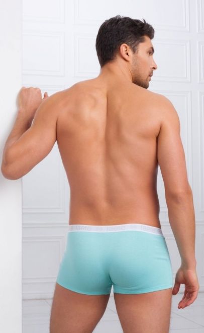 Трусы-боксеры  (Z001-3) фото