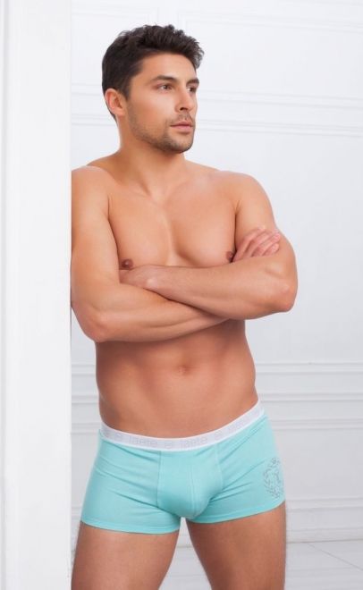 Трусы-боксеры  (Z001-3) фото